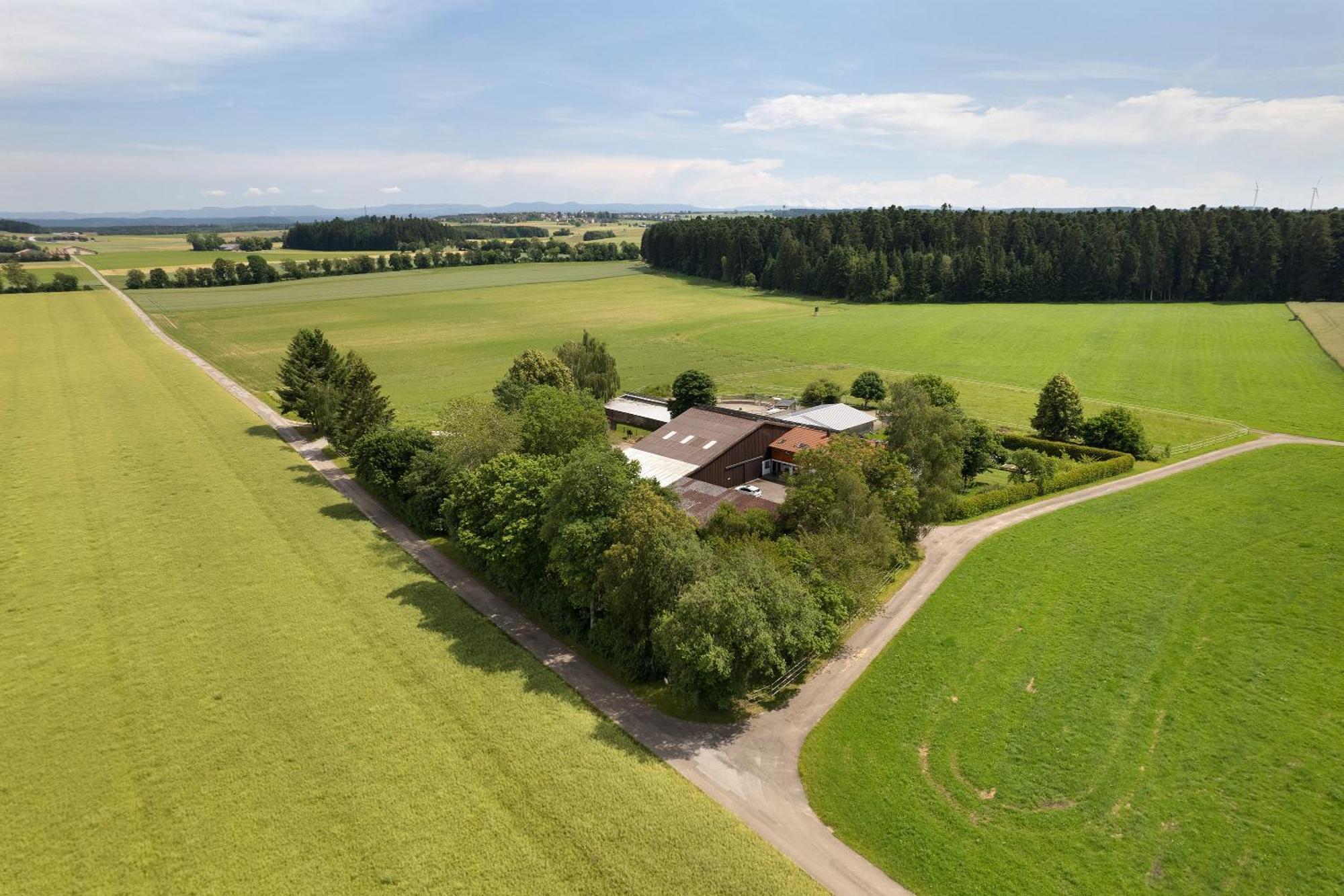 Fewo Naturliebe - Keine Monteure Dornhan Bagian luar foto
